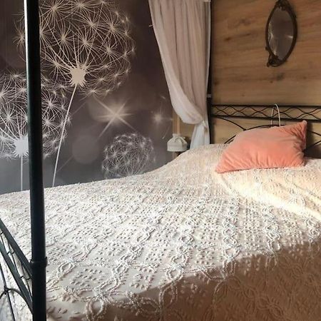 Holiday Guesthouse La Casina Di Butzi Pet Friendly - Terme Di Arta - Zoncolan Arta Terme Εξωτερικό φωτογραφία