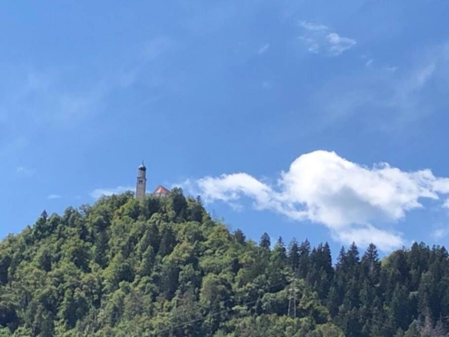 Holiday Guesthouse La Casina Di Butzi Pet Friendly - Terme Di Arta - Zoncolan Arta Terme Εξωτερικό φωτογραφία