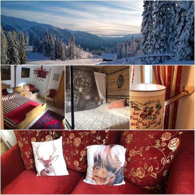 Holiday Guesthouse La Casina Di Butzi Pet Friendly - Terme Di Arta - Zoncolan Arta Terme Εξωτερικό φωτογραφία