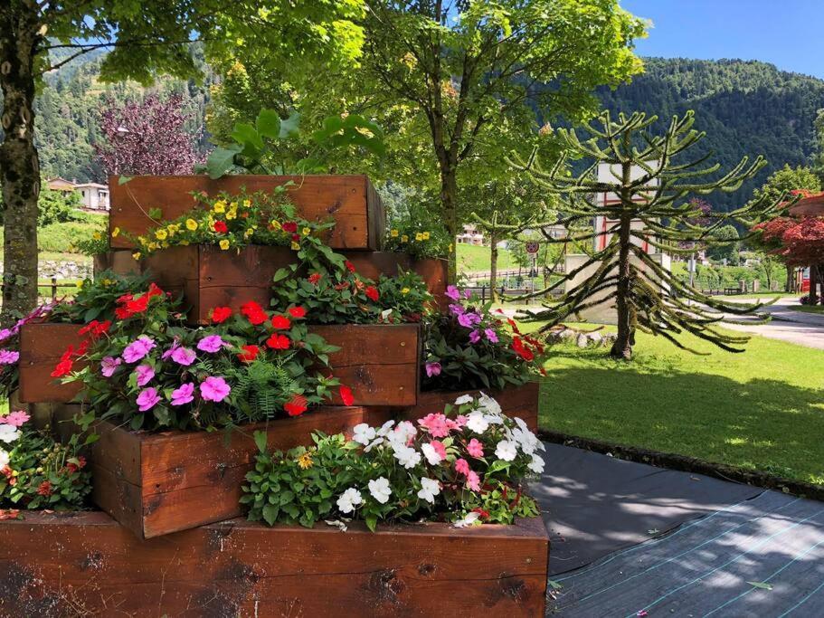Holiday Guesthouse La Casina Di Butzi Pet Friendly - Terme Di Arta - Zoncolan Arta Terme Εξωτερικό φωτογραφία