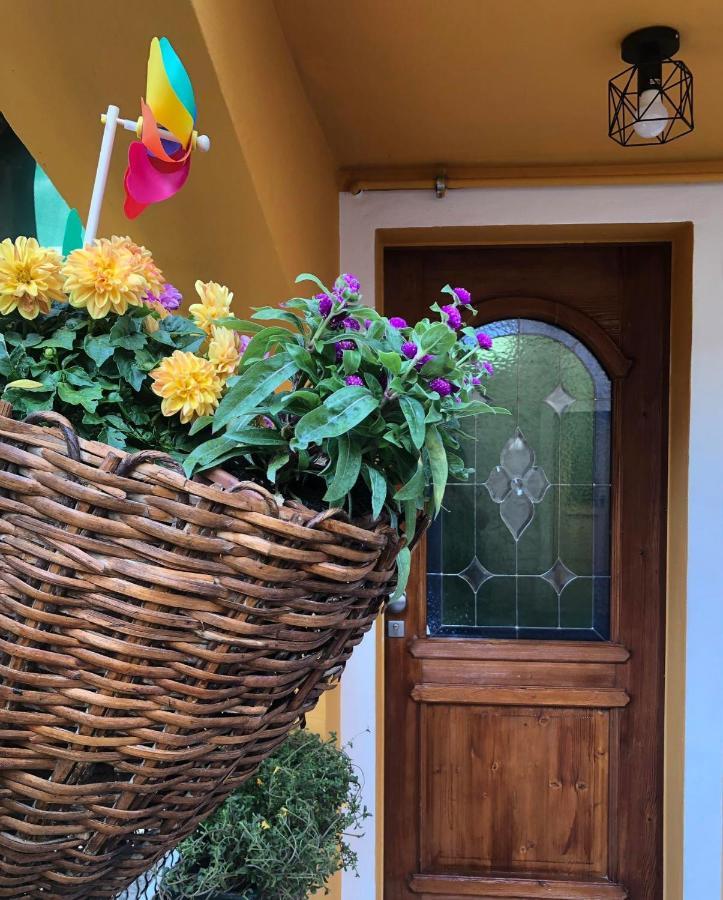 Holiday Guesthouse La Casina Di Butzi Pet Friendly - Terme Di Arta - Zoncolan Arta Terme Εξωτερικό φωτογραφία