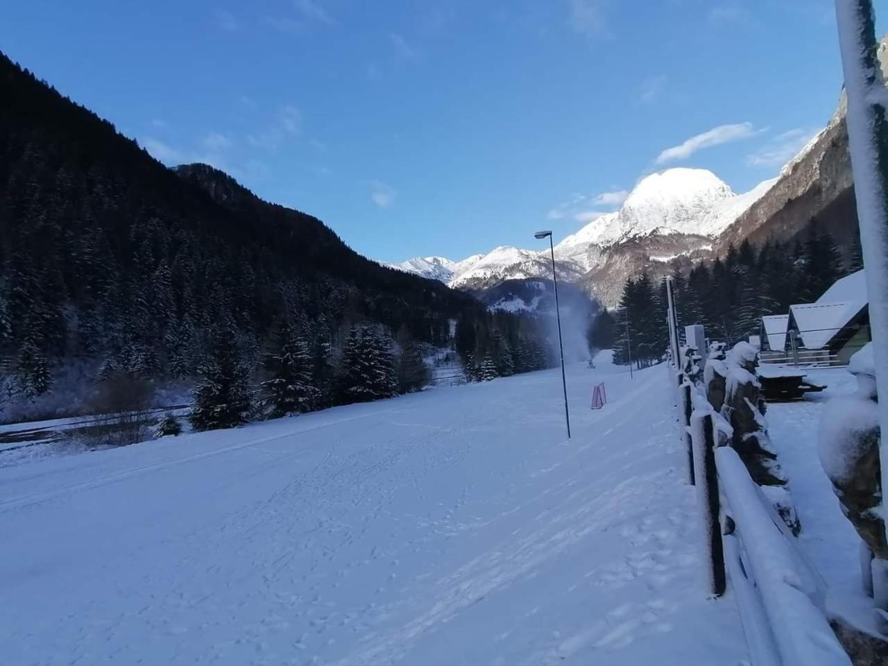 Holiday Guesthouse La Casina Di Butzi Pet Friendly - Terme Di Arta - Zoncolan Arta Terme Εξωτερικό φωτογραφία