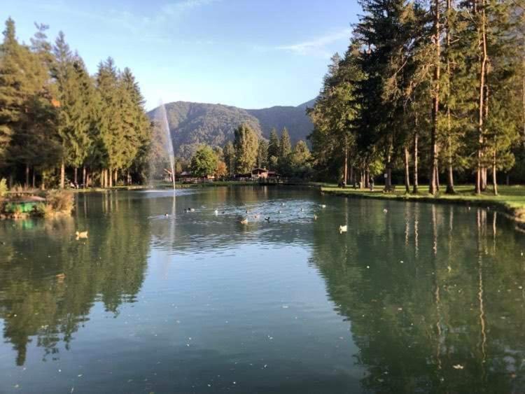 Holiday Guesthouse La Casina Di Butzi Pet Friendly - Terme Di Arta - Zoncolan Arta Terme Εξωτερικό φωτογραφία